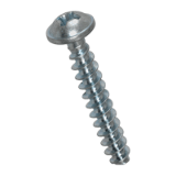 BN 13578 Pan head screws with pressed washer with Phillips cross recess form H