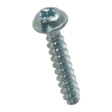 BN 20095 Pan head screws with pressed washer with hexalobular socket Torx®