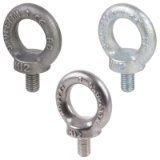 Lifting Eye Bolts DIN 580, forged version