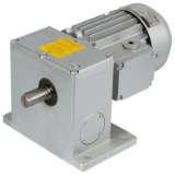 MAE-GETR-MOTOR-RS-180W - Worm Geared Motors RS with Two-Stage Worm Gears, Motor data 180 Watt / 1400 1/min., Ratio 70:1 to 2500:1