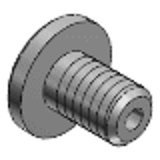 CBASG - Screws with Through Hole - Extra Low Head Screws with Through Hole