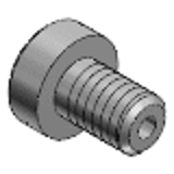 CBAST - Screws with Through Hole - Low Head Screws with Through Hole