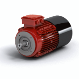 AC Induction Motor with Brake - Face Mount - Electric Motors