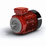 AC Induction Motor - Face Mount - Electric Motors