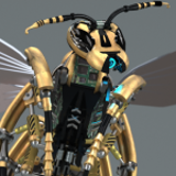 Wasp Robotic