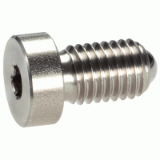 05000132000 - Spring plunger with ball, head and hexagon socket