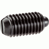 05000140000 - Spring plunger with bolt and slot
