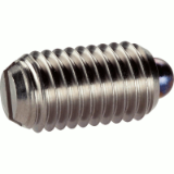 05000141000 - Spring plunger with bolt and slot