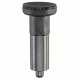 05000222000 - Index plunger without thread and krown, weldable