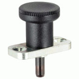 05000229000 - Index plunger with screw-on flange, without locking