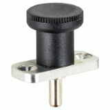 05000231000 - Index plunger with screw-on flange, without locking