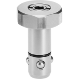 17000123000 - Positioning clamping bolt, stainless steel