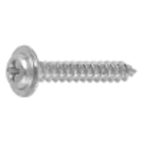 2000000W - Steel(+) Pan head with flange Tapping Screw(1-A)